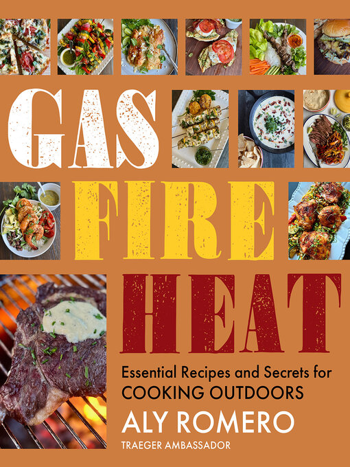Title details for Gas Fire Heat by Aly Romero - Available